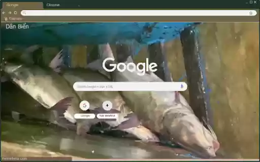 Ca thieu from Chrome web store to be run with OffiDocs Chromium online Ca thieu from Chrome web store to be run with OffiDocs Chromium online