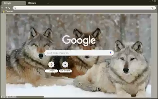 Cho soi from Chrome web store to be run with OffiDocs Chromium online Cho soi from Chrome web store to be run with OffiDocs Chromium online
