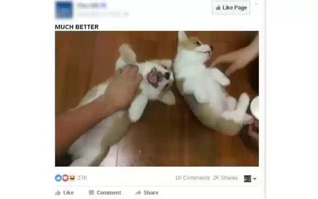 CorBey Feed: Election Edition from Chrome web store to be run with OffiDocs Chromium online CorBey Feed: Election Edition from Chrome web store to be run with OffiDocs Chromium online