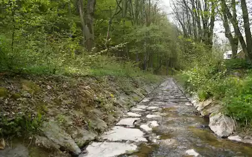 creek in the forest from Chrome web store to be run with OffiDocs Chromium online creek in the forest from Chrome web store to be run with OffiDocs Chromium online