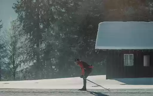 Cross country skiing in a snowy forest landscape from Chrome web store to be run with OffiDocs Chromium online Cross country skiing in a snowy forest landscape from Chrome web store to be run with OffiDocs Chromium online