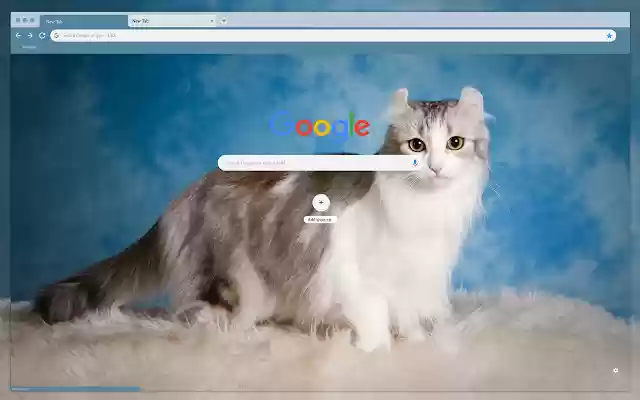 Fluffy beautiful cat from Chrome web store to be run with OffiDocs Chromium online Fluffy beautiful cat from Chrome web store to be run with OffiDocs Chromium online