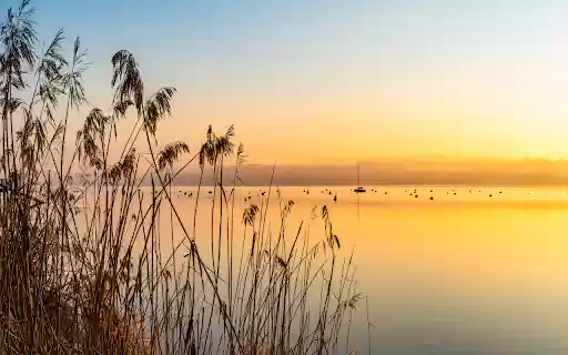 Grass and Sunset from Chrome web store to be run with OffiDocs Chromium online Grass and Sunset from Chrome web store to be run with OffiDocs Chromium online
