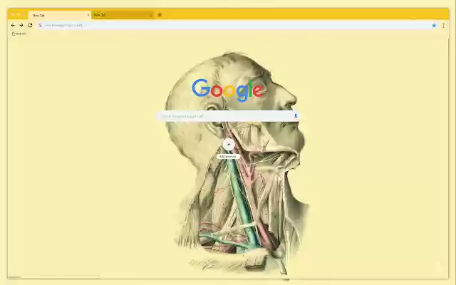 Head and vessels from Chrome web store to be run with OffiDocs Chromium online Head and vessels from Chrome web store to be run with OffiDocs Chromium online
