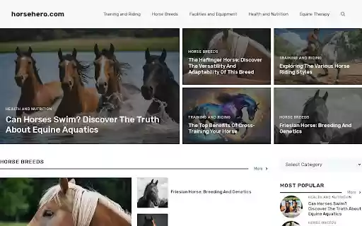 HorseHero Grey Background from Chrome web store to be run with OffiDocs Chromium online HorseHero Grey Background from Chrome web store to be run with OffiDocs Chromium online