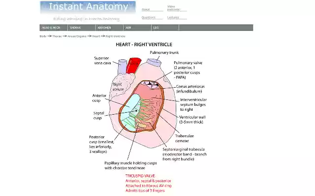 Instant Anatomy App from Chrome web store to be run with OffiDocs Chromium online Instant Anatomy App from Chrome web store to be run with OffiDocs Chromium online