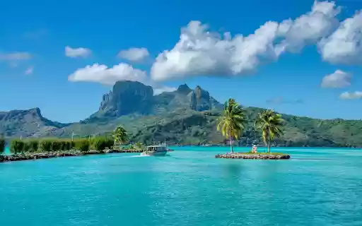 island of two coconut trees from Chrome web store to be run with OffiDocs Chromium online island of two coconut trees from Chrome web store to be run with OffiDocs Chromium online