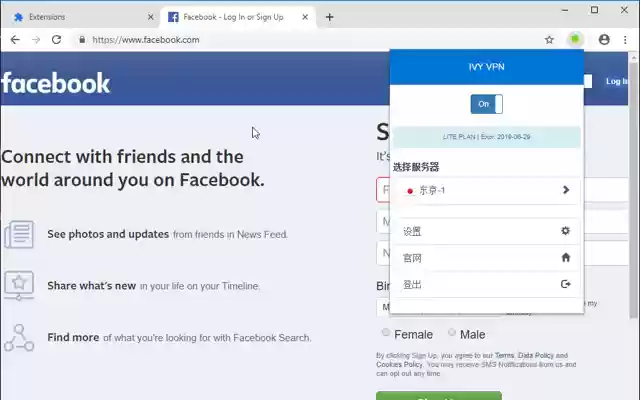 IvyVPN from Chrome web store to be run with OffiDocs Chromium online IvyVPN from Chrome web store to be run with OffiDocs Chromium online