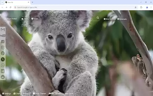 Koala Wallpaper from Chrome web store to be run with OffiDocs Chromium online Koala Wallpaper from Chrome web store to be run with OffiDocs Chromium online