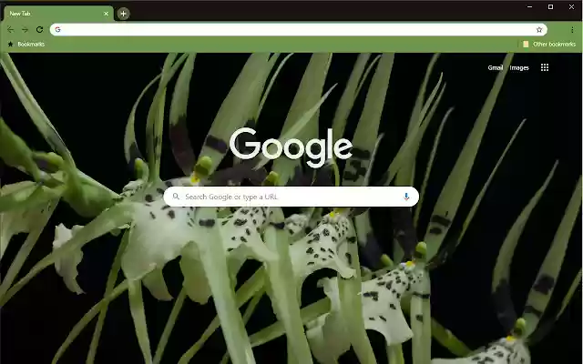 Lone Orchid III from Chrome web store to be run with OffiDocs Chromium online Lone Orchid III from Chrome web store to be run with OffiDocs Chromium online