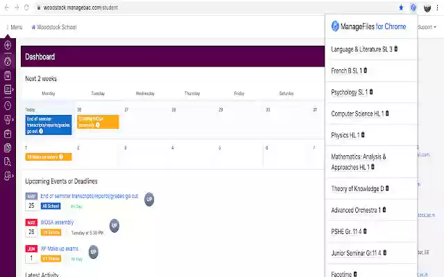 ManageFiles from Chrome web store to be run with OffiDocs Chromium online ManageFiles from Chrome web store to be run with OffiDocs Chromium online