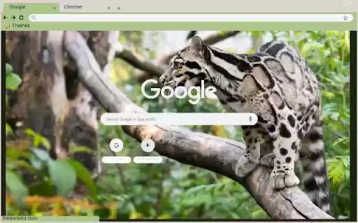 Meo Rung from Chrome web store to be run with OffiDocs Chromium online Meo Rung from Chrome web store to be run with OffiDocs Chromium online