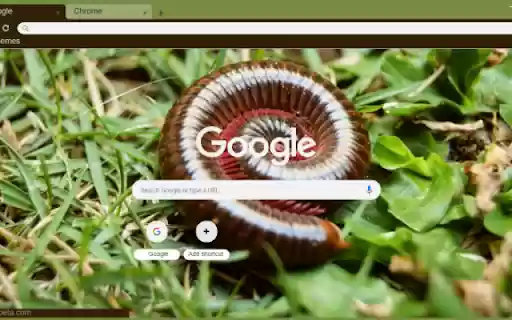 Millipede from Chrome web store to be run with OffiDocs Chromium online Millipede from Chrome web store to be run with OffiDocs Chromium online