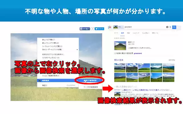 More Image Search from Chrome web store to be run with OffiDocs Chromium online More Image Search from Chrome web store to be run with OffiDocs Chromium online