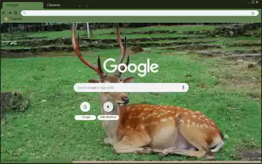Nai from Chrome web store to be run with OffiDocs Chromium online Nai from Chrome web store to be run with OffiDocs Chromium online