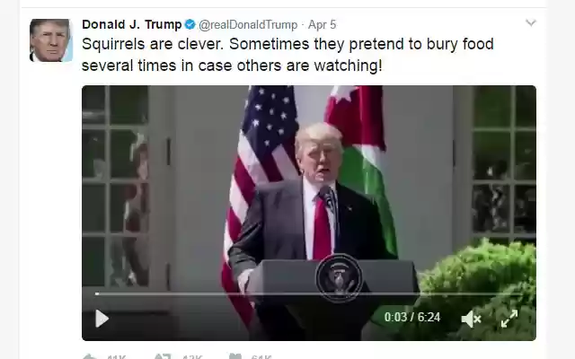 Nice Trump from Chrome web store to be run with OffiDocs Chromium online Nice Trump from Chrome web store to be run with OffiDocs Chromium online