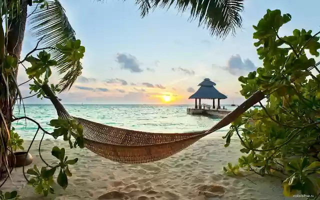 Ocean from Chrome web store to be run with OffiDocs Chromium online Ocean from Chrome web store to be run with OffiDocs Chromium online
