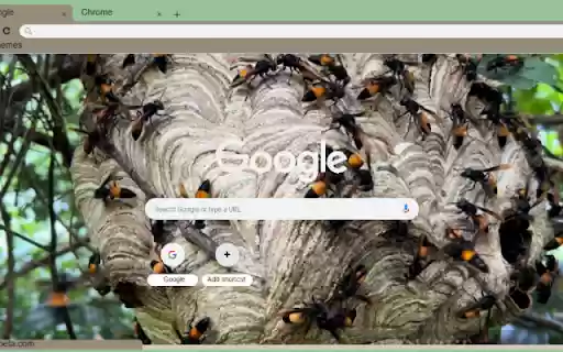 Ong Vo Ve from Chrome web store to be run with OffiDocs Chromium online Ong Vo Ve from Chrome web store to be run with OffiDocs Chromium online