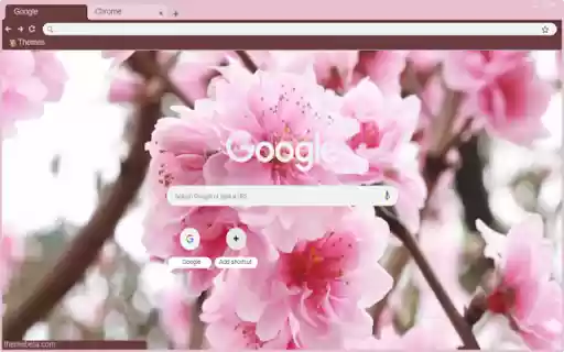 Peach blossom from Chrome web store to be run with OffiDocs Chromium online Peach blossom from Chrome web store to be run with OffiDocs Chromium online