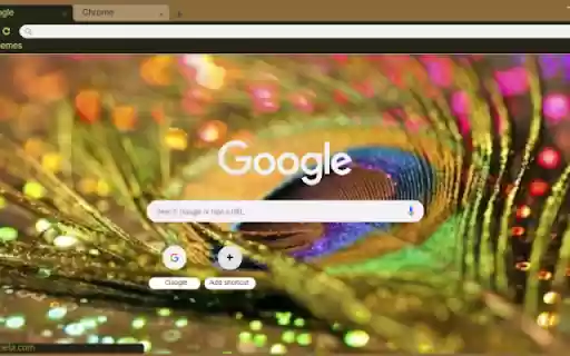 Peacock Feather Abstract from Chrome web store to be run with OffiDocs Chromium online Peacock Feather Abstract from Chrome web store to be run with OffiDocs Chromium online