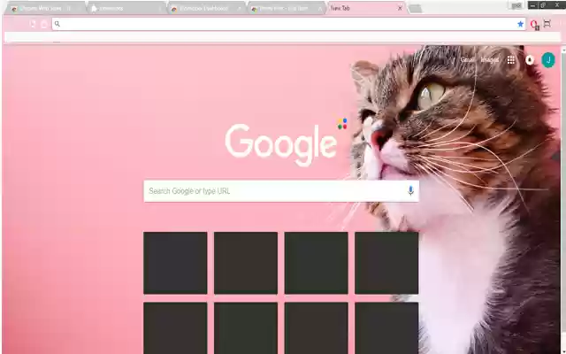 Pretty Pink from Chrome web store to be run with OffiDocs Chromium online Pretty Pink from Chrome web store to be run with OffiDocs Chromium online
