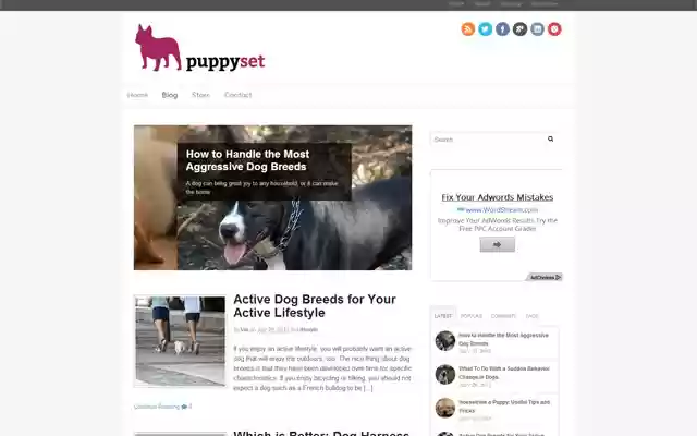 puppyset from Chrome web store to be run with OffiDocs Chromium online puppyset from Chrome web store to be run with OffiDocs Chromium online