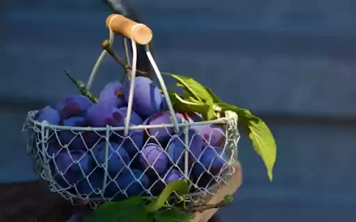 Purple Plums, Woven Baskets Velvet Bounty from Chrome web store to be run with OffiDocs Chromium online Purple Plums, Woven Baskets Velvet Bounty from Chrome web store to be run with OffiDocs Chromium online