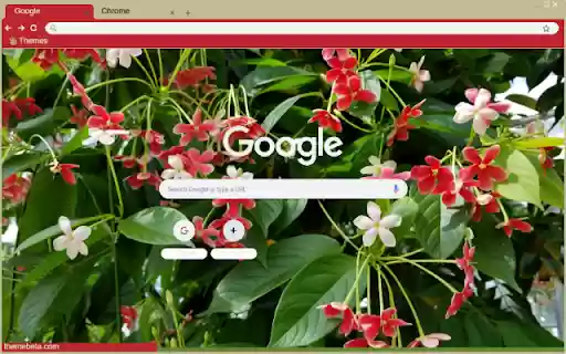 Quisqualis Indica from Chrome web store to be run with OffiDocs Chromium online Quisqualis Indica from Chrome web store to be run with OffiDocs Chromium online
