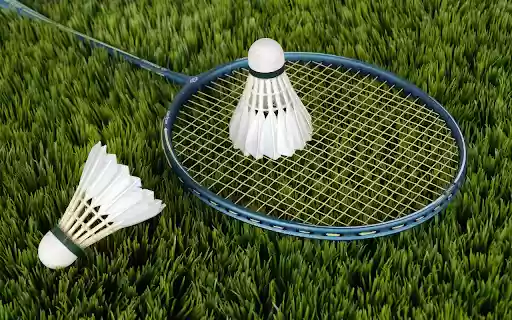 Racket on the court from Chrome web store to be run with OffiDocs Chromium online Racket on the court from Chrome web store to be run with OffiDocs Chromium online