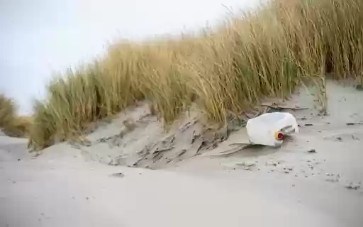 SAND DUNES THEME from Chrome web store to be run with OffiDocs Chromium online SAND DUNES THEME from Chrome web store to be run with OffiDocs Chromium online