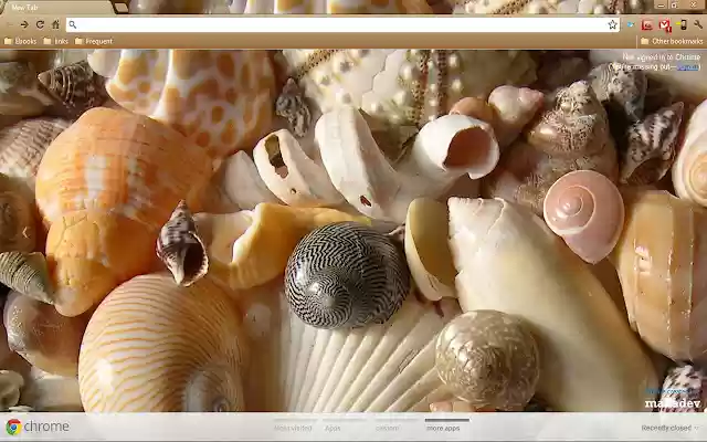 sea shells from Chrome web store to be run with OffiDocs Chromium online sea shells from Chrome web store to be run with OffiDocs Chromium online