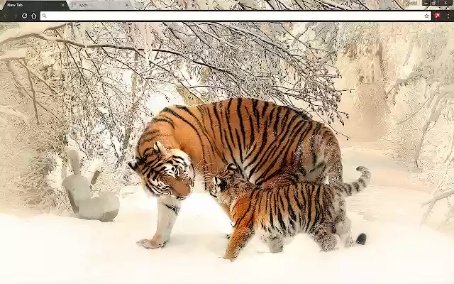 Siberian Tigers from Chrome web store to be run with OffiDocs Chromium online Siberian Tigers from Chrome web store to be run with OffiDocs Chromium online