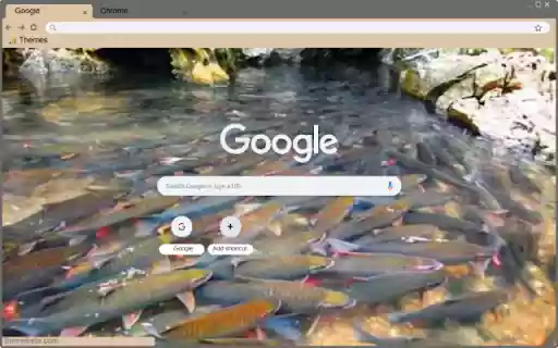 Suoi Ca Than Cam Luong from Chrome web store to be run with OffiDocs Chromium online Suoi Ca Than Cam Luong from Chrome web store to be run with OffiDocs Chromium online