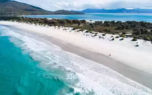 Tasmania Island from Chrome web store to be run with OffiDocs Chromium online Tasmania Island from Chrome web store to be run with OffiDocs Chromium online