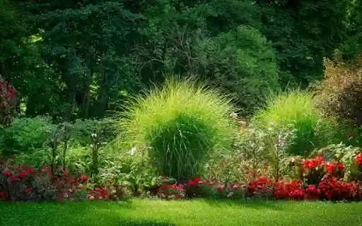 Textural Contrasts in a Garden Border from Chrome web store to be run with OffiDocs Chromium online Textural Contrasts in a Garden Border from Chrome web store to be run with OffiDocs Chromium online