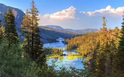 The river flows through the forest from Chrome web store to be run with OffiDocs Chromium online The river flows through the forest from Chrome web store to be run with OffiDocs Chromium online