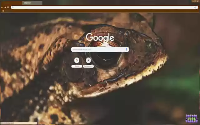 Toad from Chrome web store to be run with OffiDocs Chromium online Toad from Chrome web store to be run with OffiDocs Chromium online