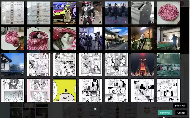 Twitter Image Downloader from Chrome web store to be run with OffiDocs Chromium online Twitter Image Downloader from Chrome web store to be run with OffiDocs Chromium online