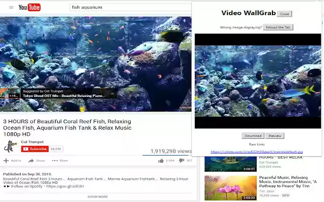 Video Wallgrab from Chrome web store to be run with OffiDocs Chromium online Video Wallgrab from Chrome web store to be run with OffiDocs Chromium online