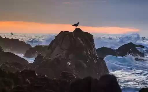Waves and Rocks from Chrome web store to be run with OffiDocs Chromium online Waves and Rocks from Chrome web store to be run with OffiDocs Chromium online