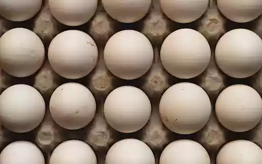 White chicken egg tray from Chrome web store to be run with OffiDocs Chromium online White chicken egg tray from Chrome web store to be run with OffiDocs Chromium online