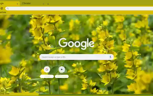 Yellow Loosestrife from Chrome web store to be run with OffiDocs Chromium online Yellow Loosestrife from Chrome web store to be run with OffiDocs Chromium online